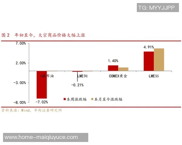 2026年3月份新闻杭州飞盘队防守策略分析与比赛表现评估